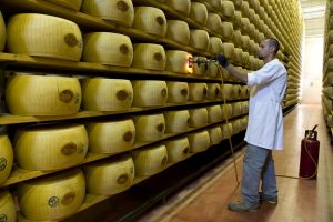 Parmigiano Reggiano - marchiatura a fuoco CGu picc.jpg